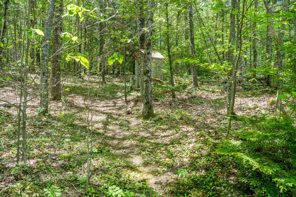 314 Frye Mountain Road Knox ME 04986