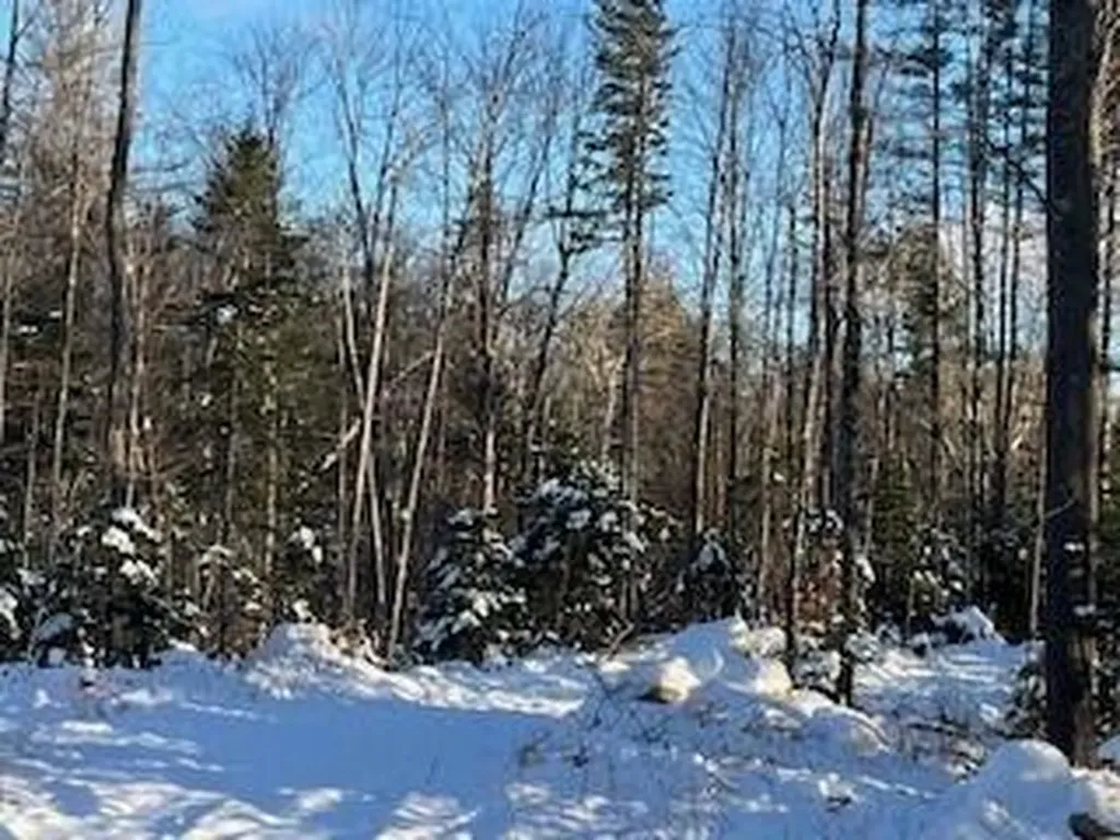 Lot 045 Sawyer Notch Road Andover ME 04216