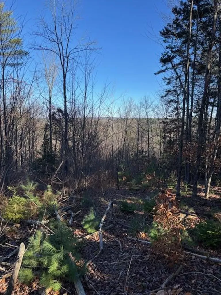 M 6, L 32 Main Street Wayne ME 04284