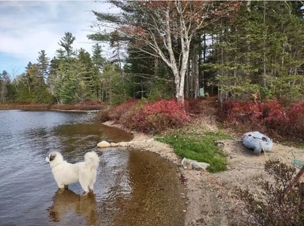 Lot 3 Widerness Way N Wesley ME 04686