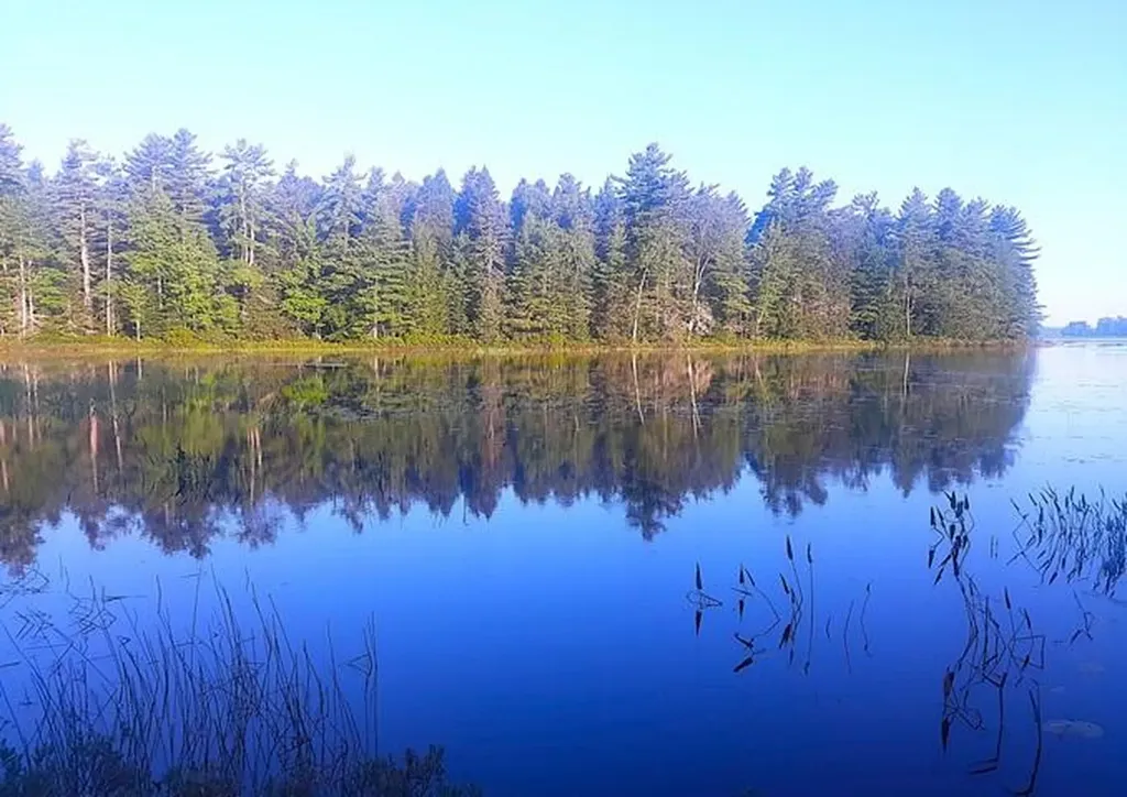 142 Wilderness Way N Wesley ME 04686