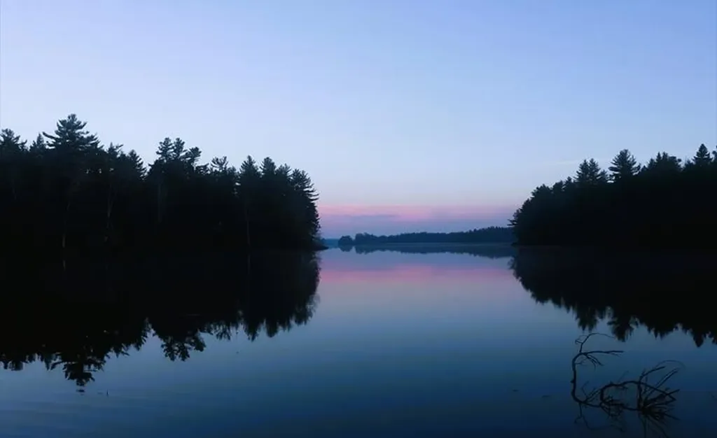 142 Wilderness Way N Wesley ME 04686