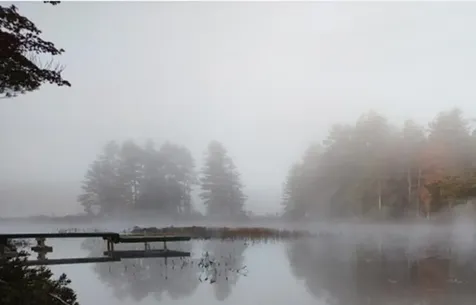 142 Wilderness Way N Wesley ME 04686