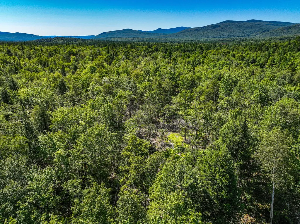 Lot 39 Sawyer Notch Road Andover ME 04216