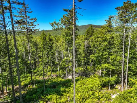 Lot 39 Sawyer Notch Road Andover ME 04216