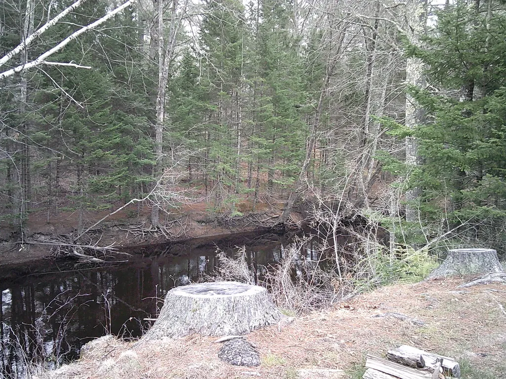 35 Mcintire Road Waterford ME 04088