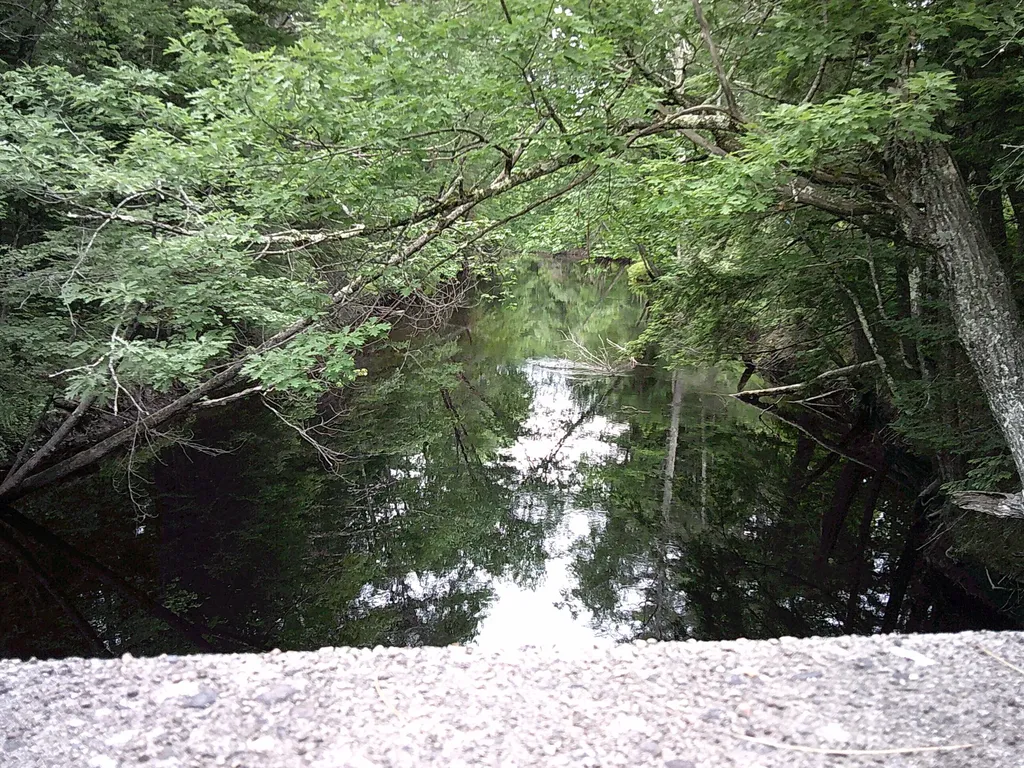 35 Mcintire Road Waterford ME 04088