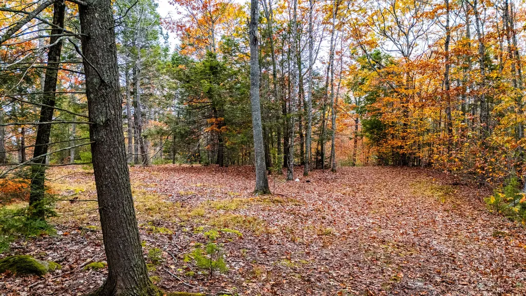 Lot #3 Bay View Trail Edgecomb ME 04556