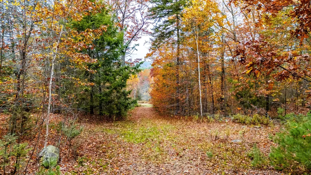 Lot #3 Bay View Trail Edgecomb ME 04556