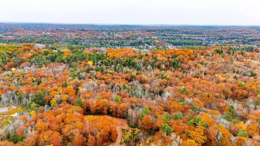 Lot #3 Bay View Trail Edgecomb ME 04556