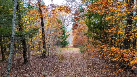 Lot #3 Bay View Trail Edgecomb ME 04556