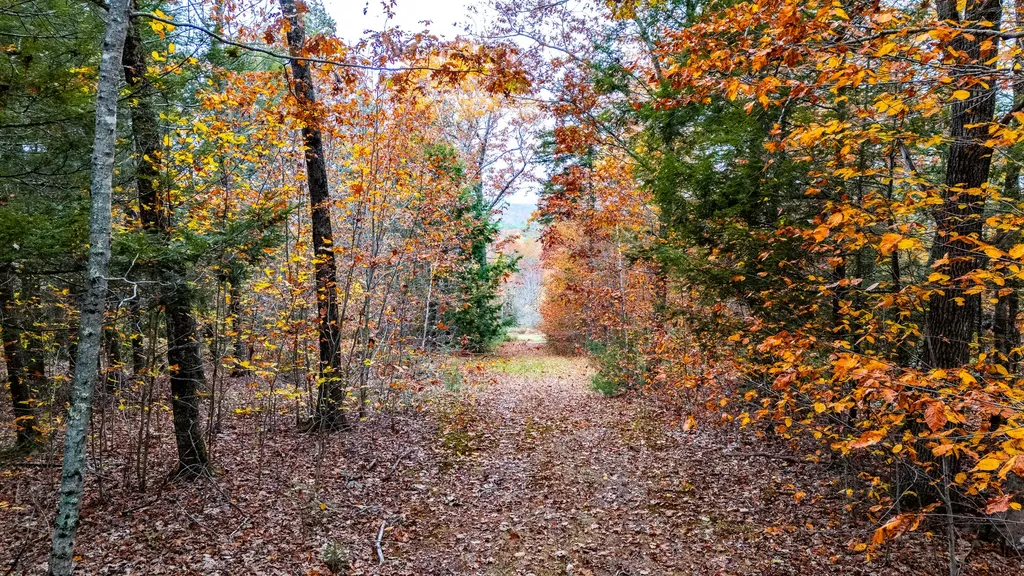 LOT#4 Bay View Trail Edgecomb ME 04556