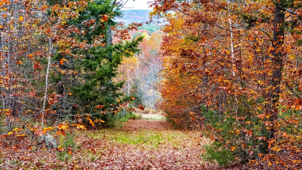 LOT#4 Bay View Trail Edgecomb ME 04556