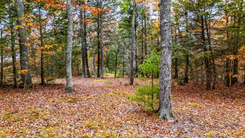 LOT#4 Bay View Trail Edgecomb ME 04556