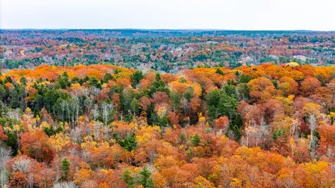 LOT#4 Bay View Trail Edgecomb ME 04556