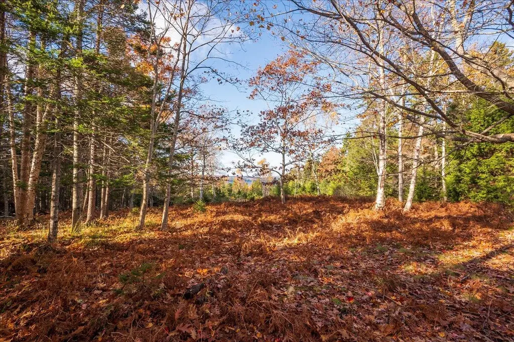 376 West Bay Road Islesboro ME 04848