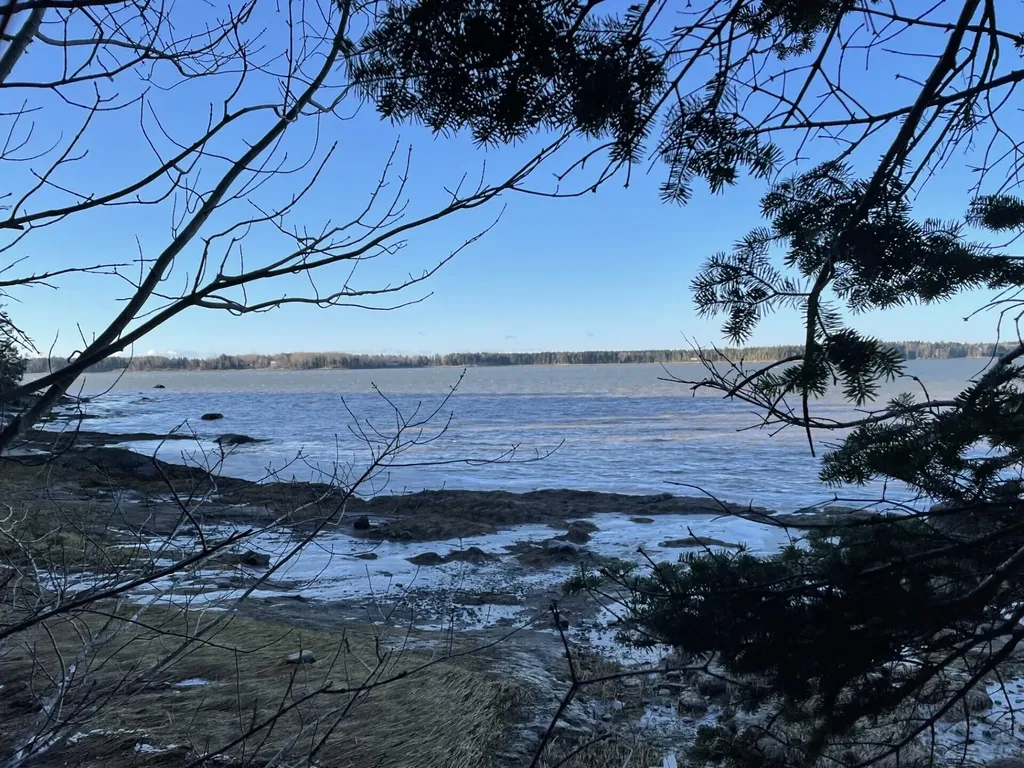 Lot 25-3 Flat Bay Drive Harrington ME 04643