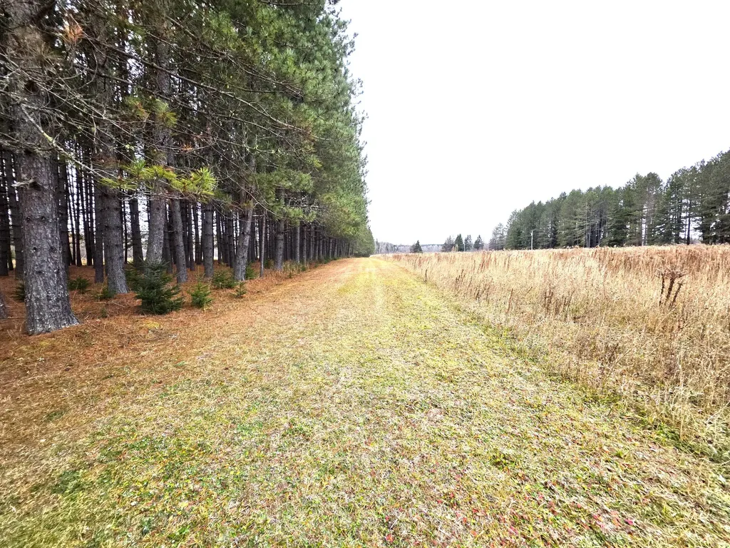 M02, L026 Mcintyre Road Woodland ME 04736