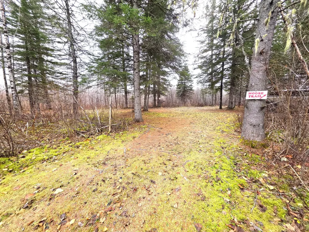 M02, L026 Mcintyre Road Woodland ME 04736