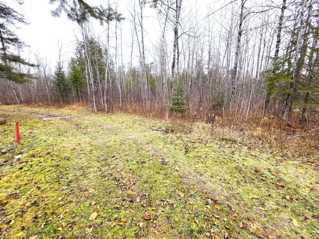 M02, L026 Mcintyre Road Woodland ME 04736
