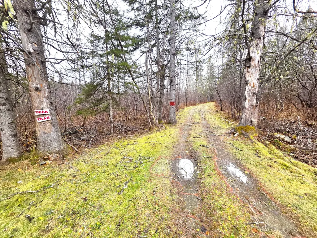 M02, L026 Mcintyre Road Woodland ME 04736