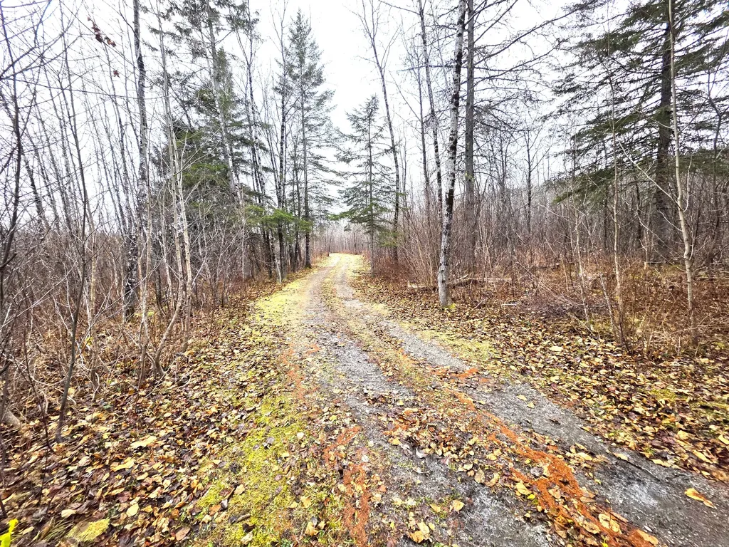 M02, L026 Mcintyre Road Woodland ME 04736