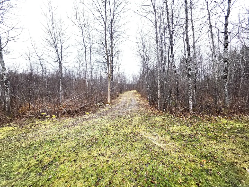 M02, L026 Mcintyre Road Woodland ME 04736