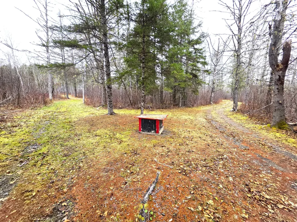 M02, L026 Mcintyre Road Woodland ME 04736