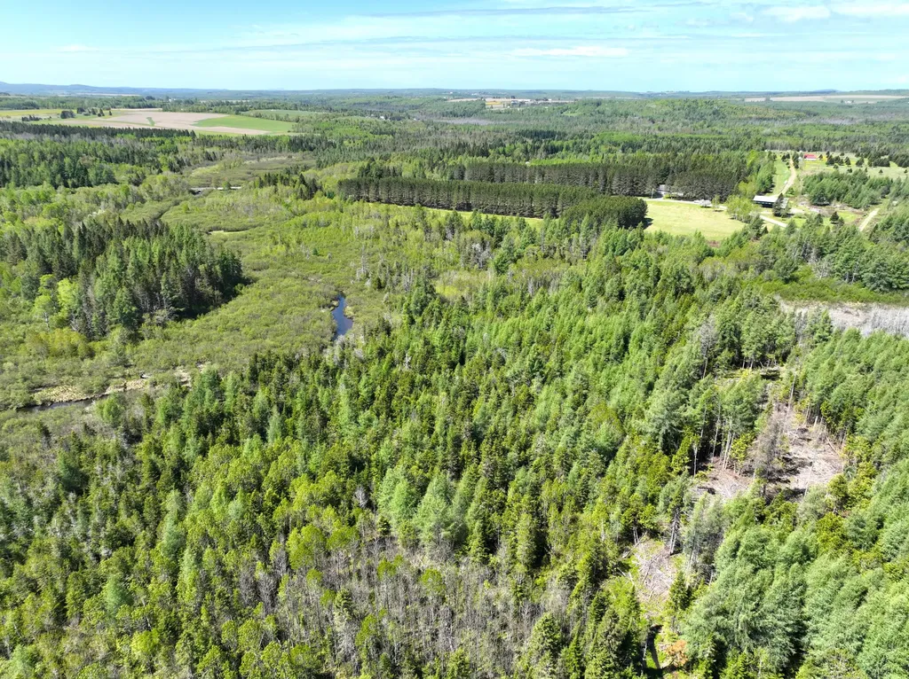 M02, L026 Mcintyre Road Woodland ME 04736