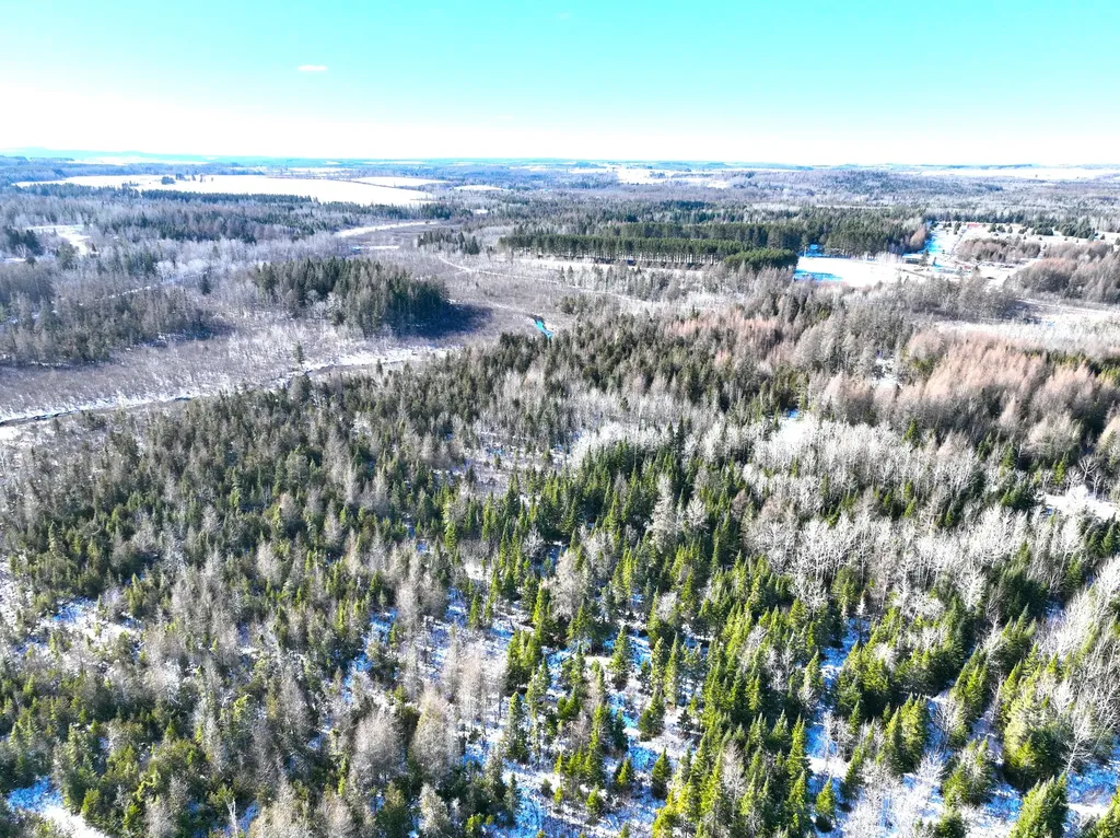 M02, L026 Mcintyre Road Woodland ME 04736