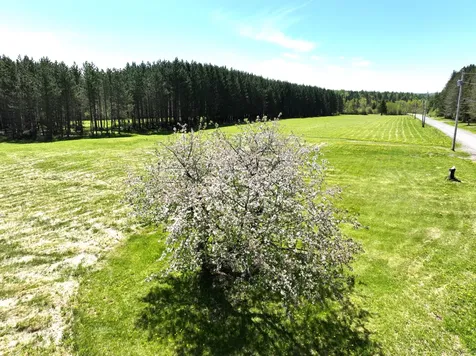 M02, L026 Mcintyre Road Woodland ME 04736