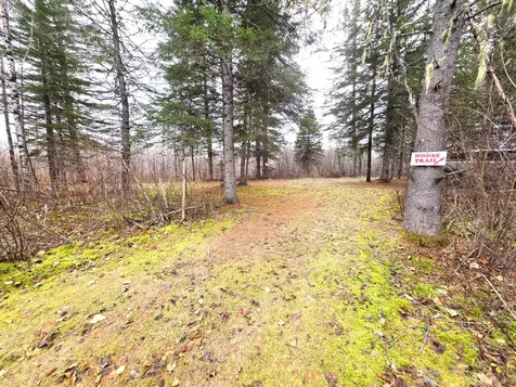 M02, L026 Mcintyre Road Woodland ME 04736