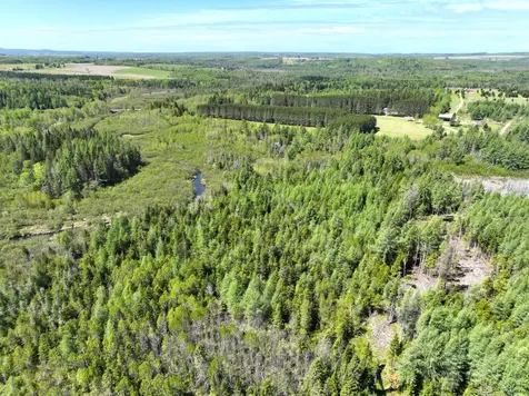 M02, L026 Mcintyre Road Woodland ME 04736