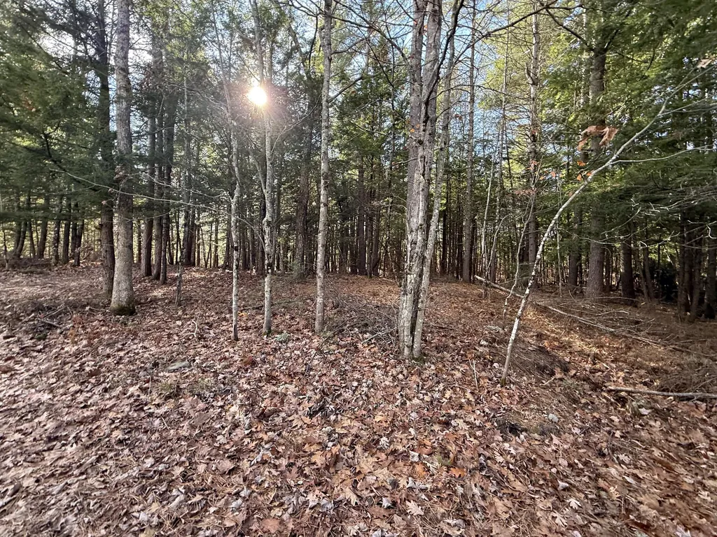 25-2 Mowry Lane Newfield ME 04076