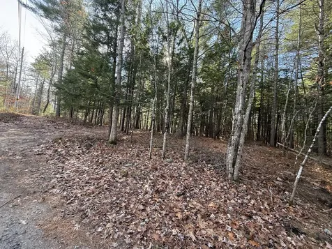 25-2 Mowry Lane Newfield ME 04076