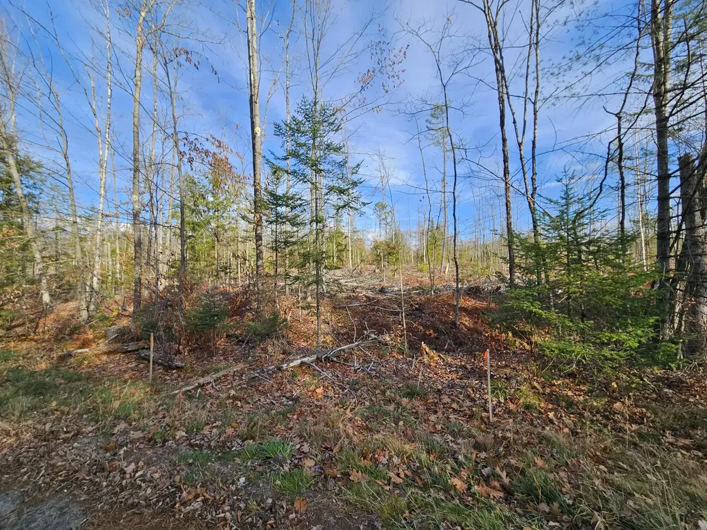 M-3 L-33-5 Cape Cod Hill Road New Sharon ME 04955