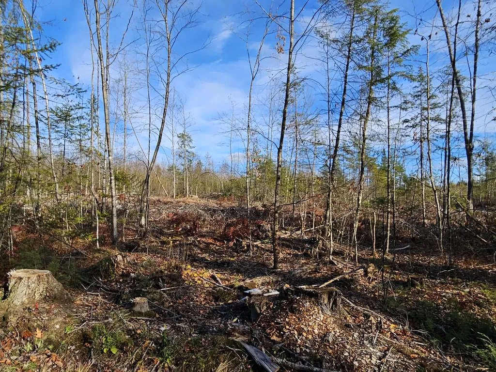M-3 L-33-5 Cape Cod Hill Road New Sharon ME 04955