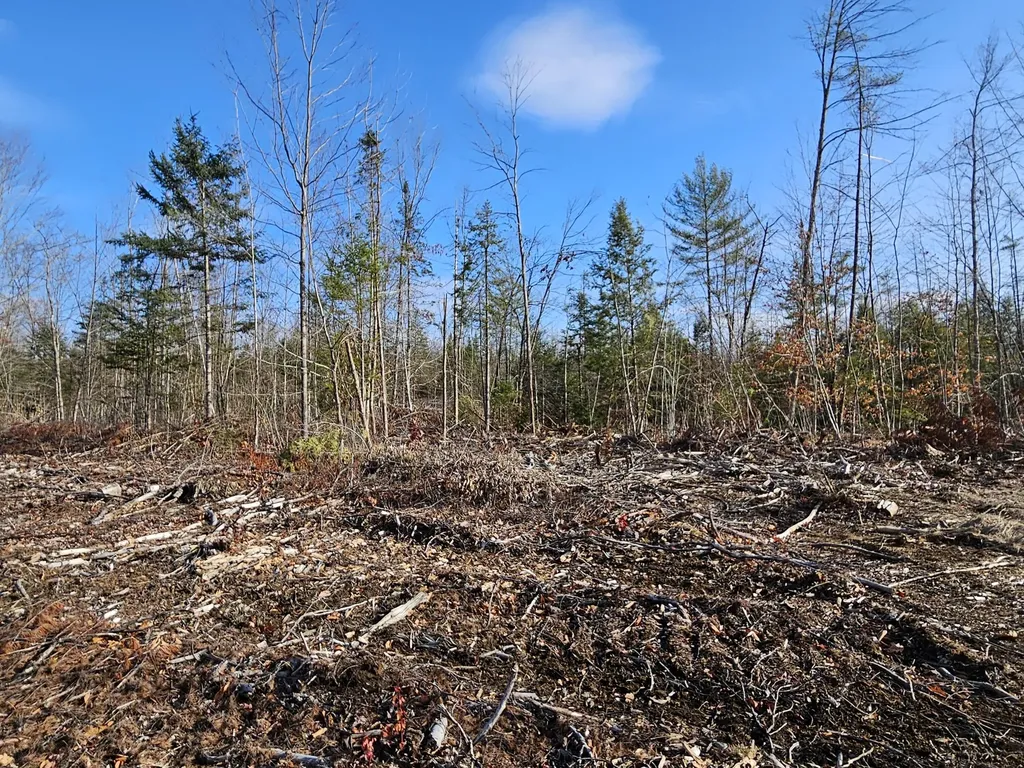 M-3 L-33-5 Cape Cod Hill Road New Sharon ME 04955