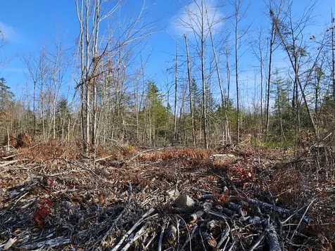 M-3 L-33-5 Cape Cod Hill Road New Sharon ME 04955