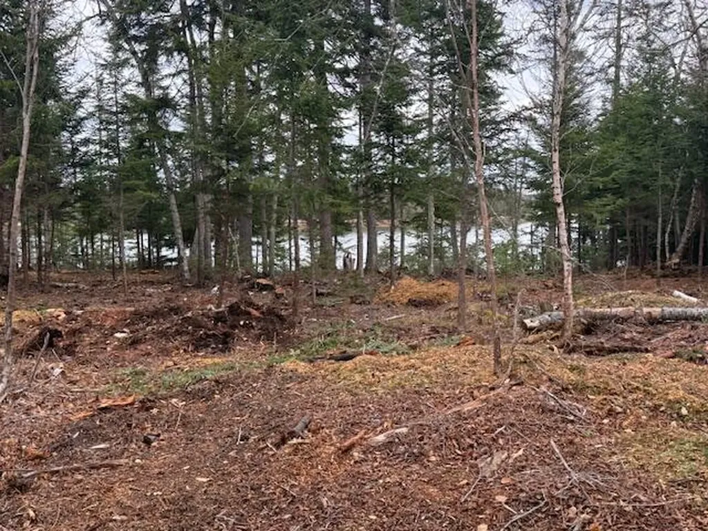 Lot 11 Quiet Shore Road Steuben ME 04680