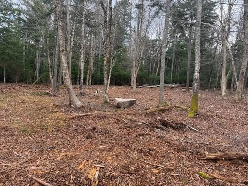 Lot 11 Quiet Shore Road Steuben ME 04680