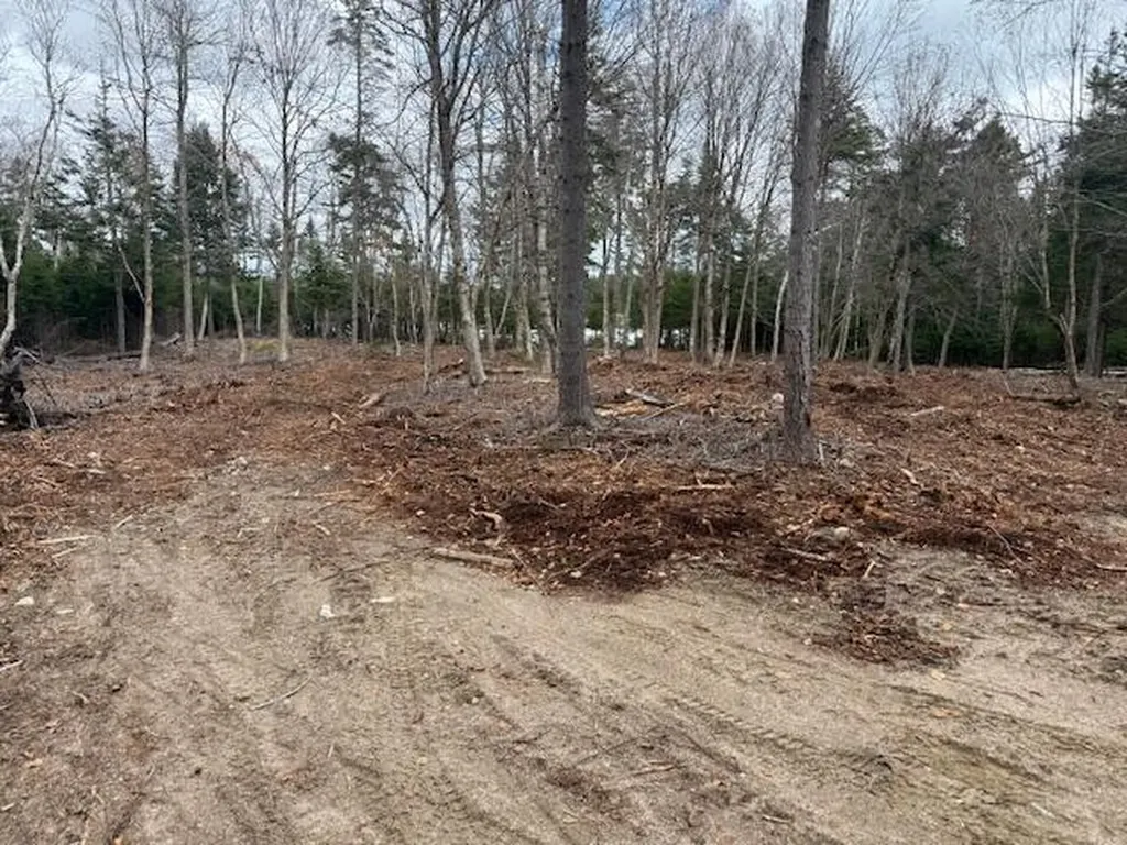 Lot 11 Quiet Shore Road Steuben ME 04680