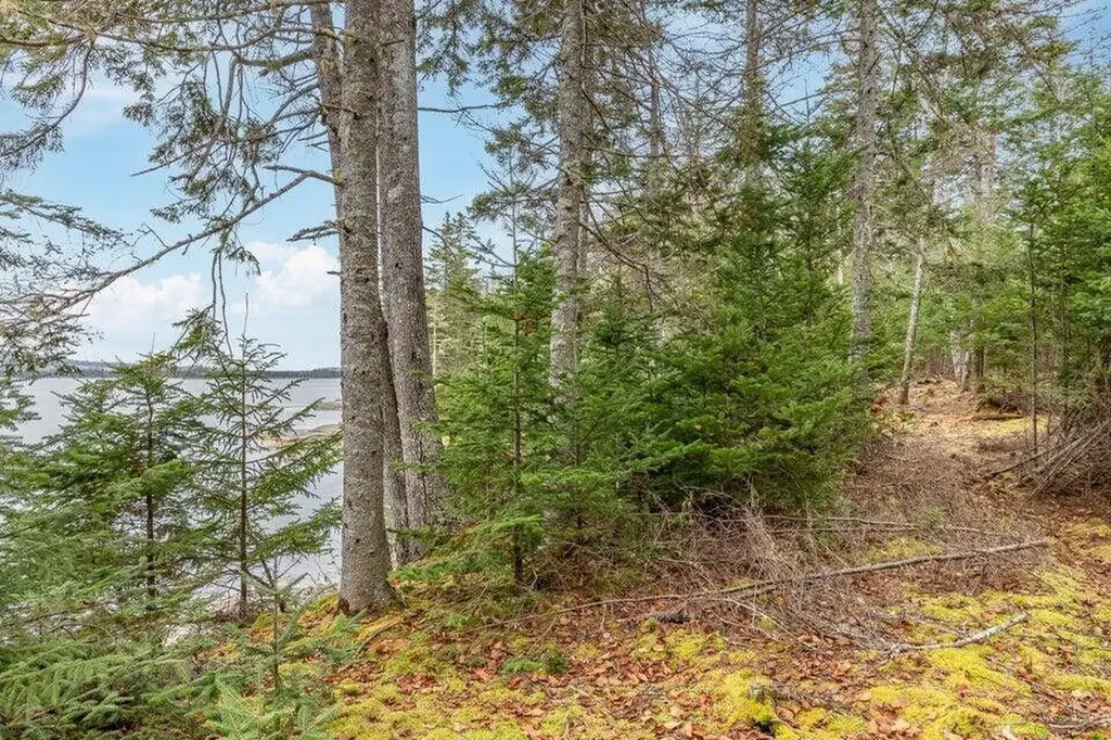 Lot 11 Quiet Shore Road Steuben ME 04680