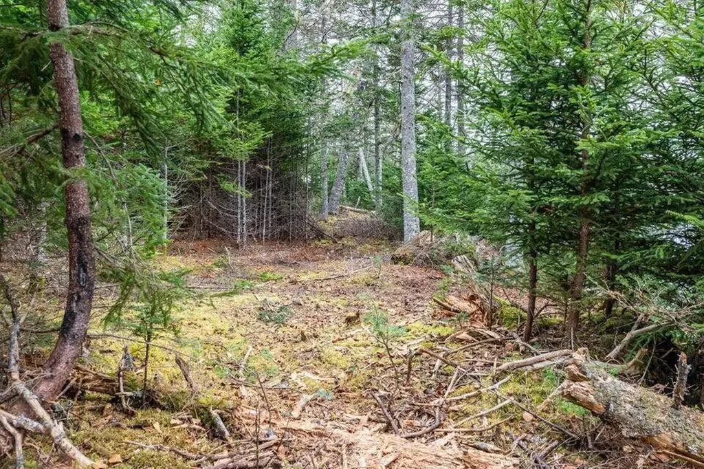 Lot 11 Quiet Shore Road Steuben ME 04680