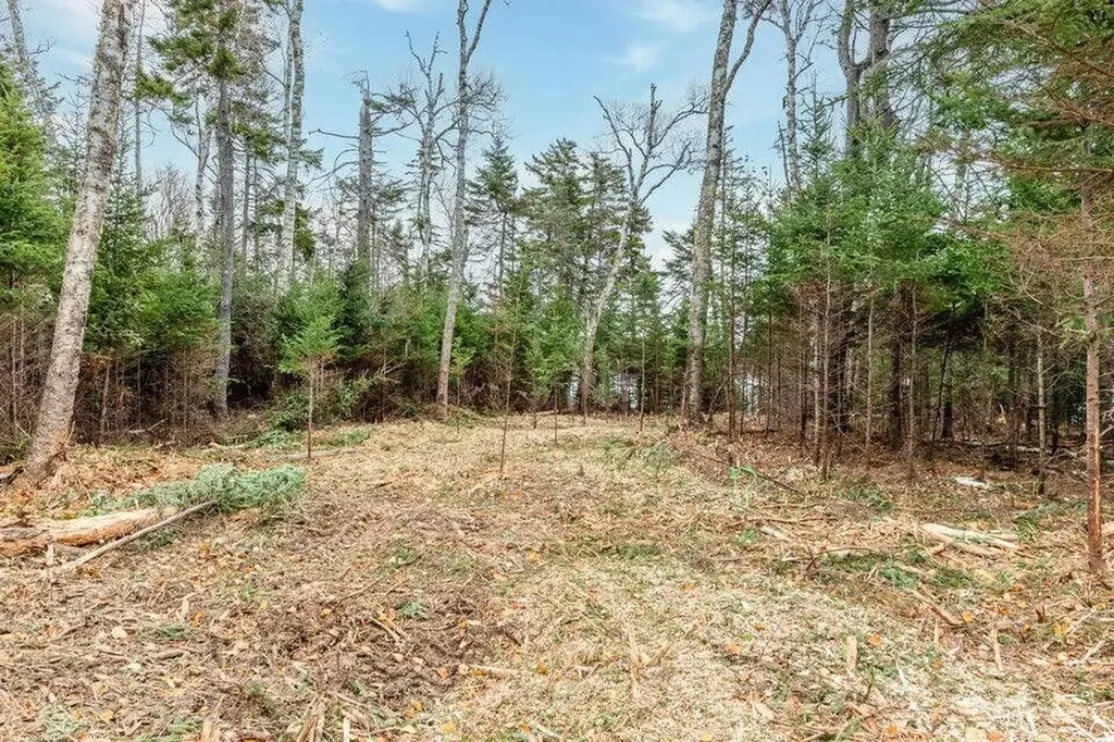 Lot 11 Quiet Shore Road Steuben ME 04680