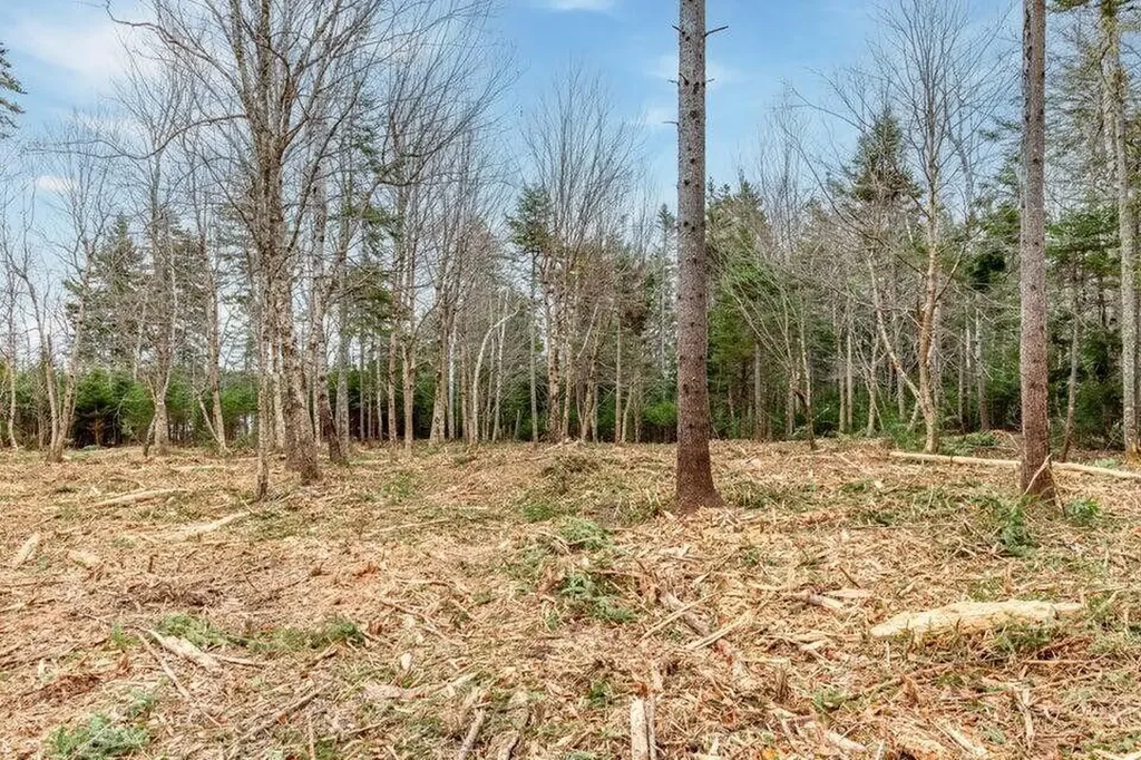 Lot 11 Quiet Shore Road Steuben ME 04680