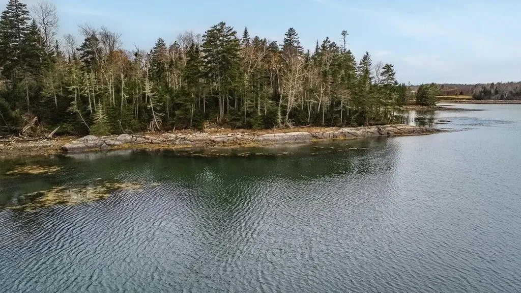 Lot 11 Quiet Shore Road Steuben ME 04680