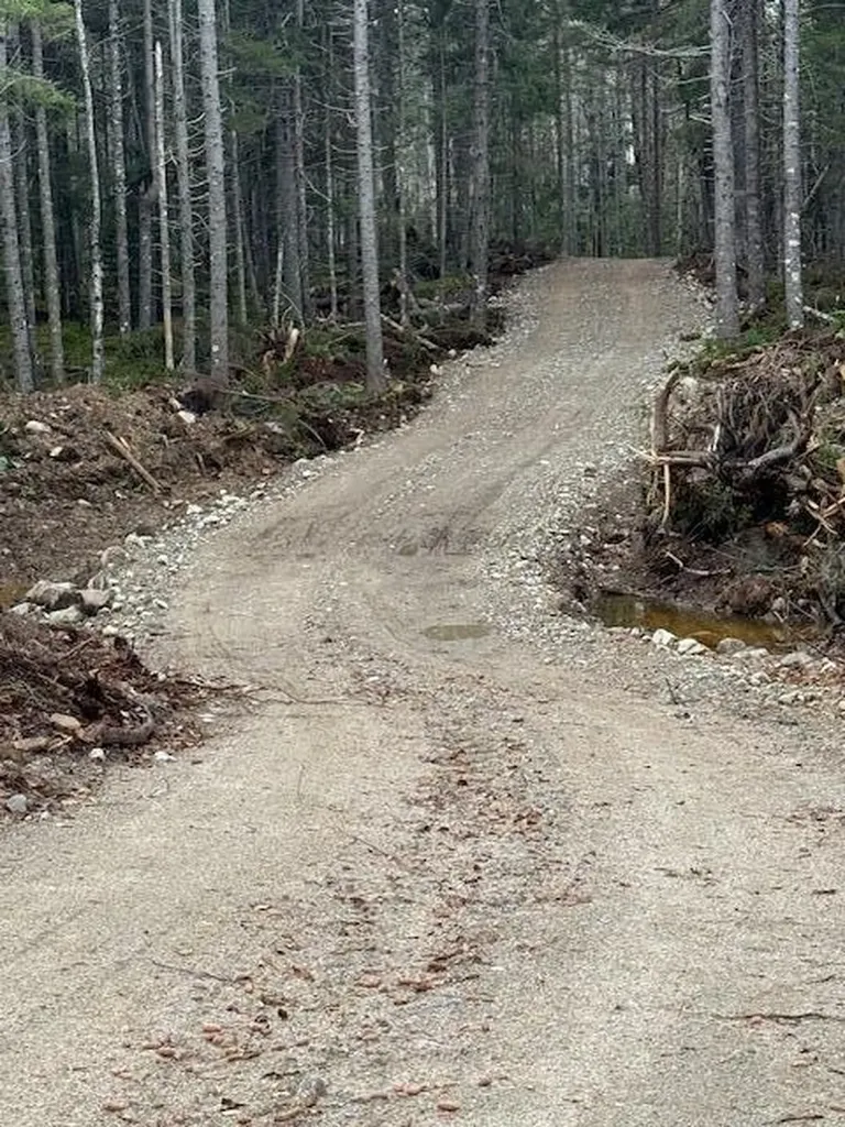 Lot 11 Quiet Shore Road Steuben ME 04680