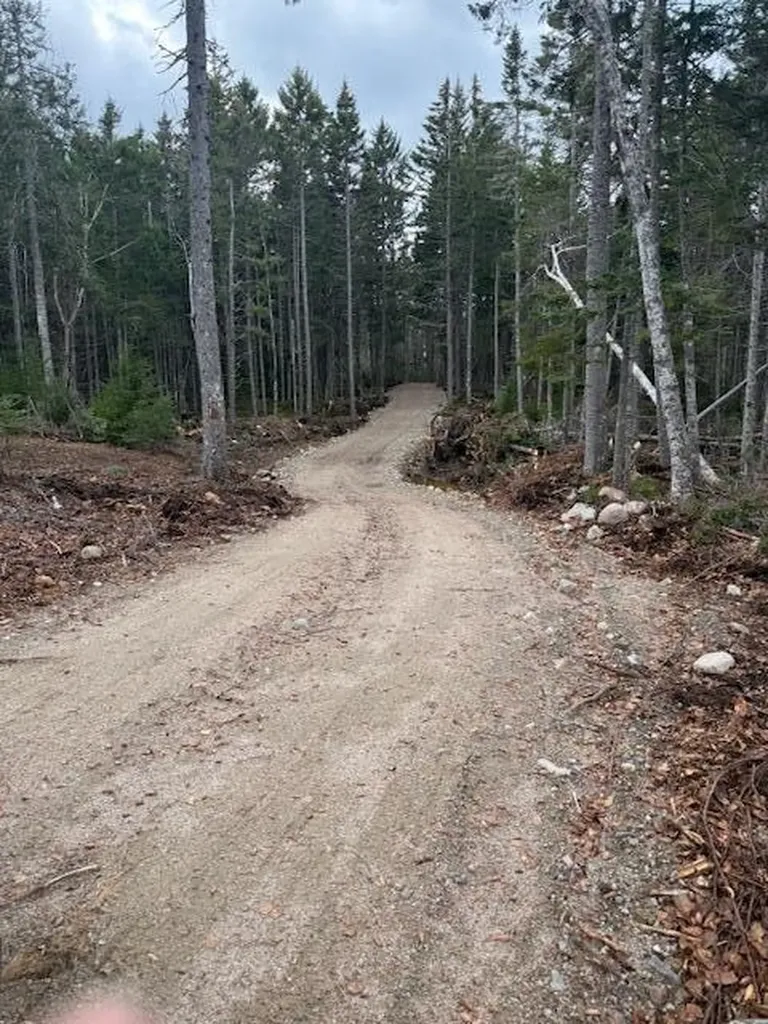 Lot 11 Quiet Shore Road Steuben ME 04680