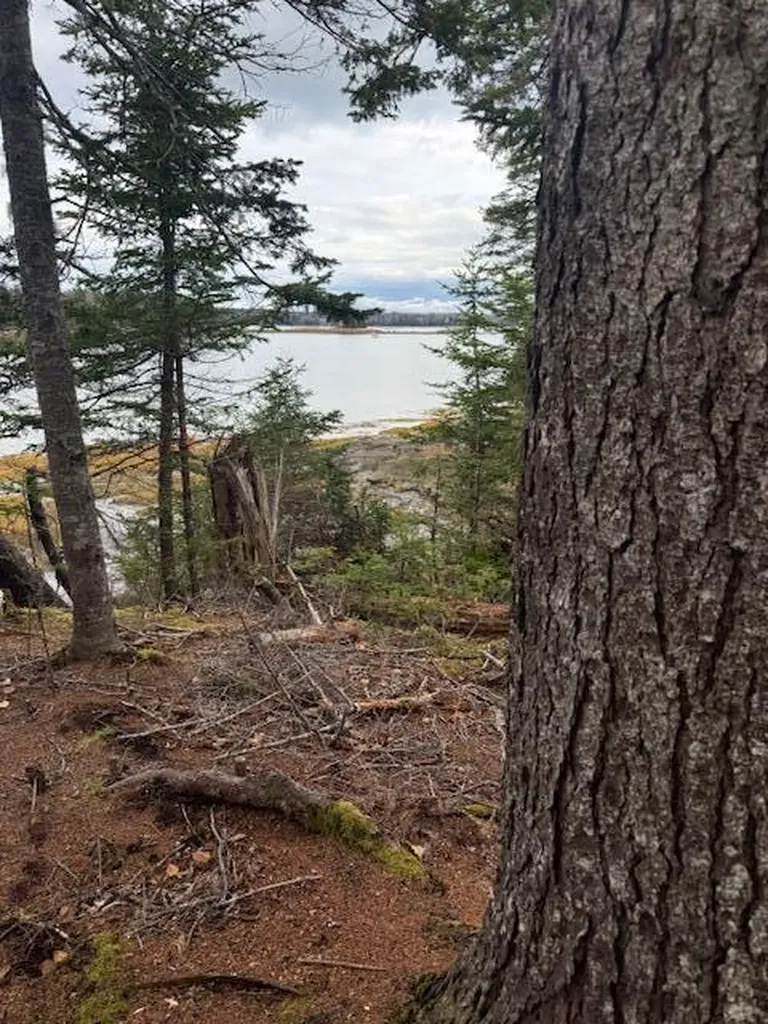 Lot 11 Quiet Shore Road Steuben ME 04680